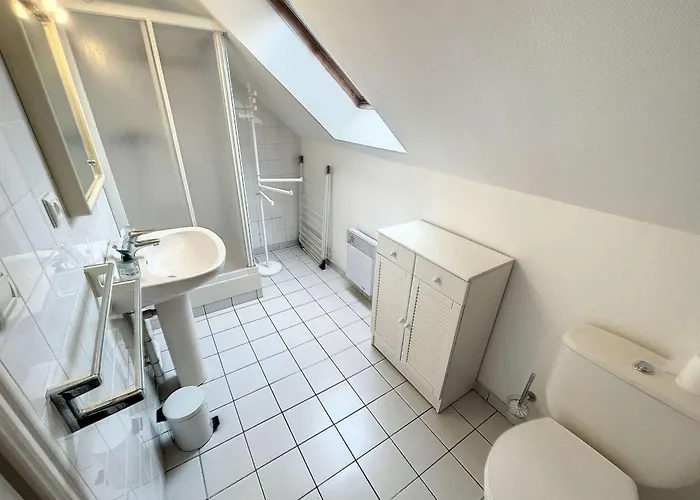 Grand Duplex En Centre-ville Avec Vue, A 50m De La Plage, Ascenseur, Et Wifi - Fr-1-361-165 Apartmán *