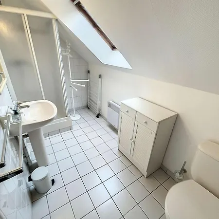 Grand Duplex En Centre-ville Avec Vue, A 50m De La Plage, Ascenseur, Et Wifi - Fr-1-361-165 شقة *