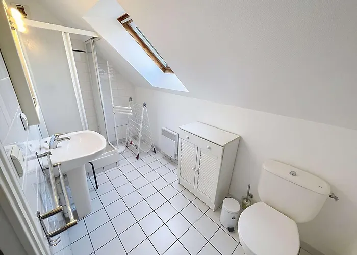 Grand Duplex En Centre-ville Avec Vue, A 50m De La Plage, Ascenseur, Et Wifi - Fr-1-361-165 *